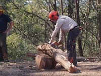 12-James watches Heidi cut a log